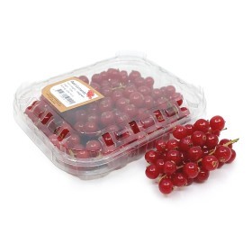  Chile - Red Currant 125 g PKT 
