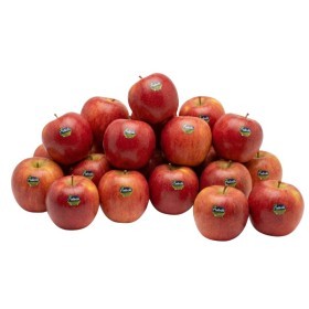  Tessa I Apple Kg - Italy 