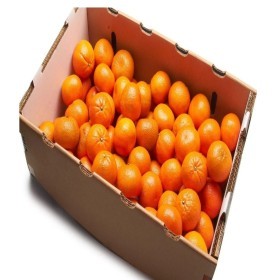  Clementine 9Kg BOX - Australia 