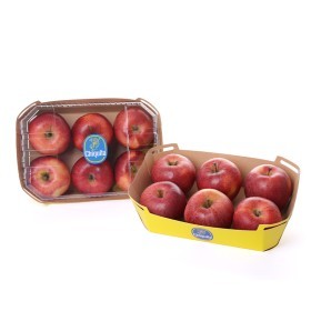  تشيكيتا | تفاح رويال باكيت – فرنسا 