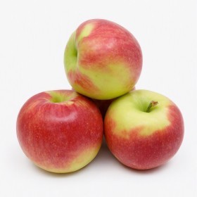  South Africa - Royal Gala Apple KG 