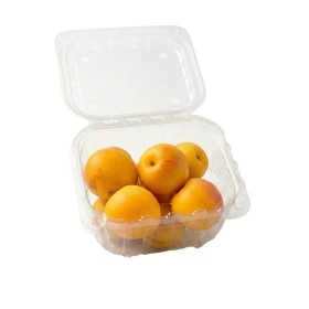  South Africa - Nectarines with Apricot flavour 500g PKT 