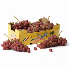  كرتون عنب أحمرسيدليس 4.5 كجم - إيطاليا 