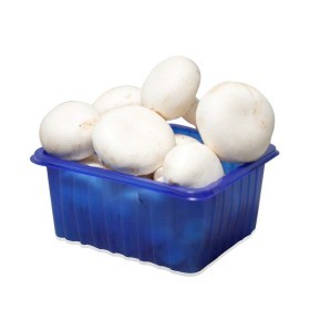  Mushroom 250g PKT - Saudia Arabia 