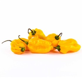  Morocco - Yellow Habanero Chili Kg 