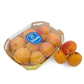  CHIQUITA | Apricot 500 gm PKT | Jordan 
