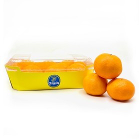  Chiquita | Clementine PKT - Turkey 