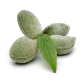  Lebanon - Green Almonds Kg 