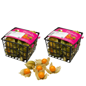  Physalis 100g - Colombian 