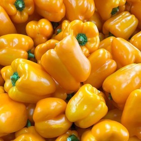  Holland Orange Capsicum Kg 