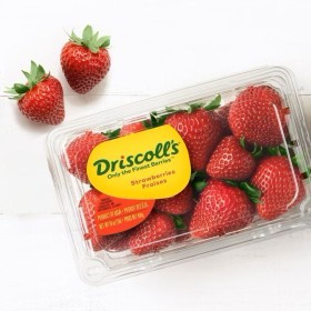  Driscoll's Strawberry 454gm 