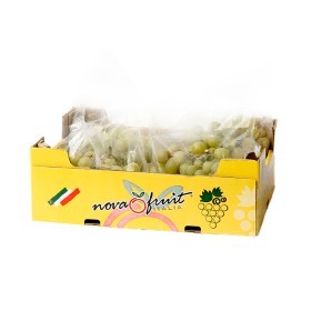  White Grapes 4.5kg BOX- Italy 