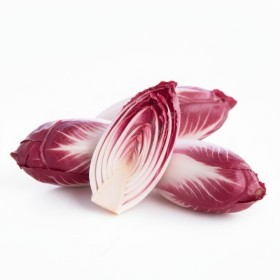  الهندباء الحمراء كيلو - هولندي 