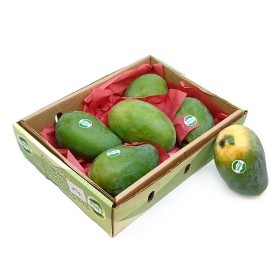  Egypt - Mango Mabrouka 1.750 kg Box 