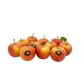  Serbia - Royal Gala Baby Apple Kg 