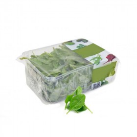  Holland Baby Spinach Packet 125gm 