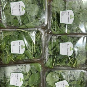  كيل بيبي باكيت - ايطالي 