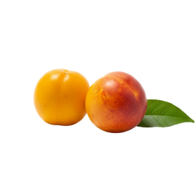  South Africa -  Nectarines with Apricot Flavour KG 