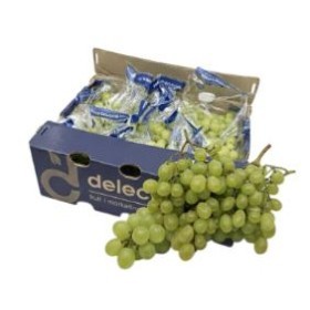  South Africa - Grapes White 4.5 KG BOX 