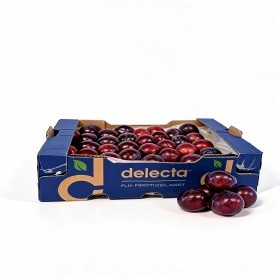  South Africa -Black Plums 5 Kg Box 
