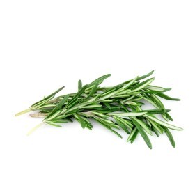  Rosemary 100g Pkt - ITALY 