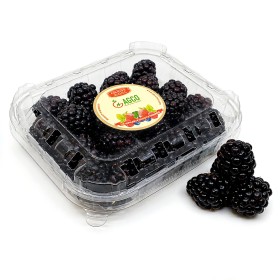  Morocco -  BlackBerry 125 g PKT 