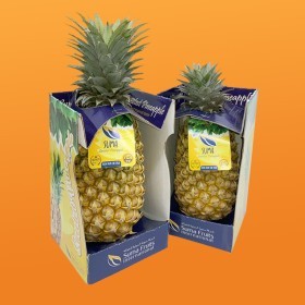  SUMA | King pineapple pc- Sri Lanka 