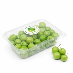  South Africa -Janark 1 KG PKT 