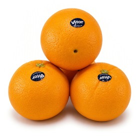  Australia - Navel Orange Kg 