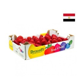  Strawberry 1 Kg Pkt - EGYPT 