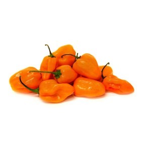  فلفل هابانيرو (برتقالي) بالكيلو - هولندا 