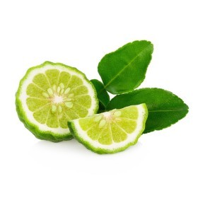  Thailand Kaffir Lime 250gm 