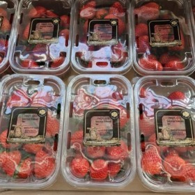  Strawberry 400g PKT - Holland 