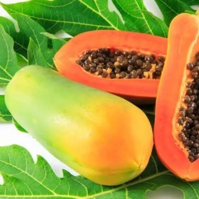  بابايا أحمر كيلو - سيريلانكا 