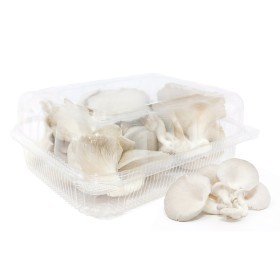  Local - Oyster Mushroom 200 g PKT 