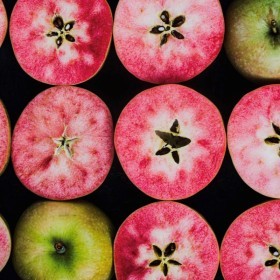  تفاح كيسابل بالكيلو - امريكي 