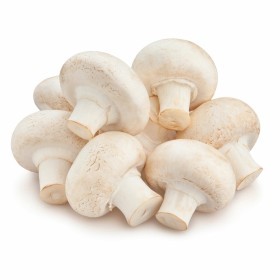  Holland white Mushroom 250gm PKT 