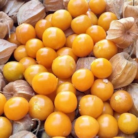  Peeled Physalis Berrys 125G - Colombian 