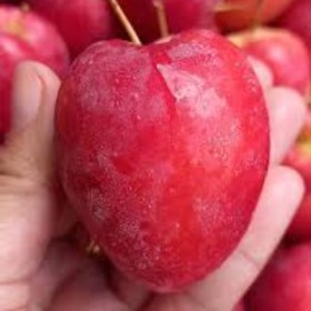  Strawberry Apples 500g PKT - China 