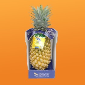  SUMA | King pineapple pc- Sri Lanka 